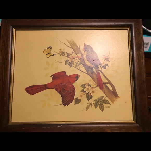 F.Massa original Cardinal print - Picture 1 of 12